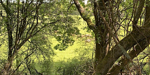 Image principale de Wild Foxes Forest School Easter  Holiday Session 1