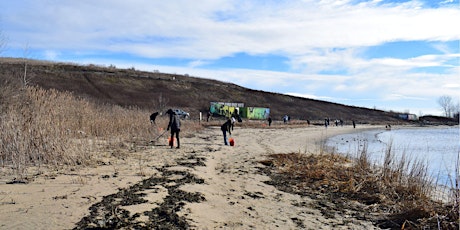 Shoreline Cleanup: Penn Water Access Area primary image