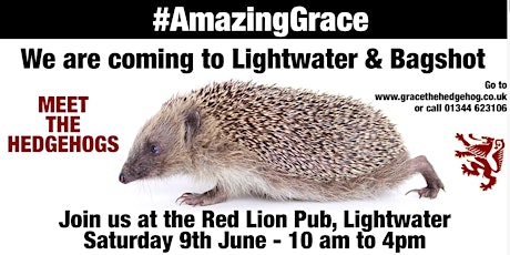 Amazing Grace Lightwater & Bagshot Community Hedgehog Day primary image
