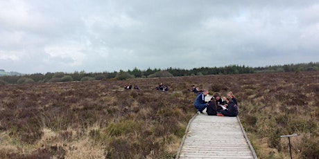 Guided Tour of Griston Bog primary image
