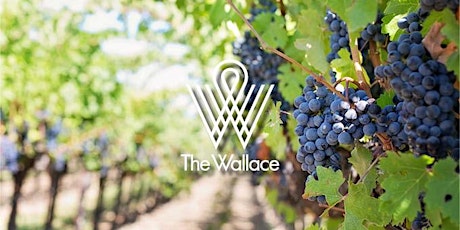 WALLACE WINE CLUB – WOMEN WINEMAKERS primary image