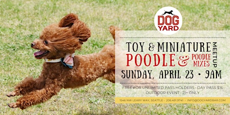 Toy & Mini Poodle Meetup at the Dog Yard Bar in Ballard - Sunday, April 23