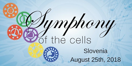 Symphony of the Cells - Ljubljana, Slovenia  primary image