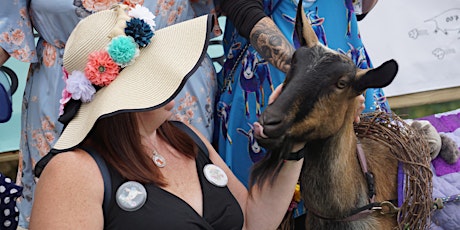 Imagem principal do evento VIP Goat Derby Experience