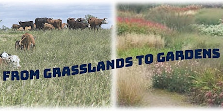From Grasslands to Gardens
