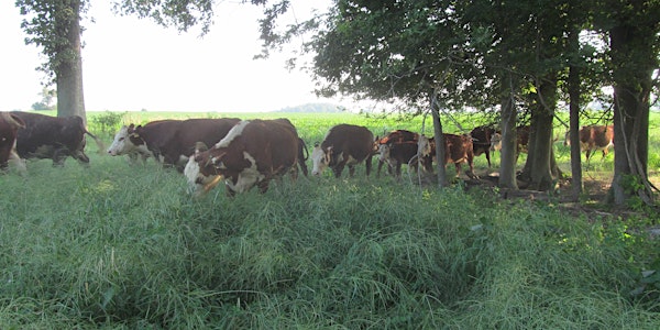 Western Kentucky Forage Field Day