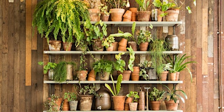Adding Life to your Home with Greenery: Styling and Horticulture Masterclass primary image