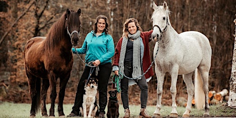 Hauptbild für Animal Essential Touch Methode - Zertifizierungskurs Pferd, Hund, Katze