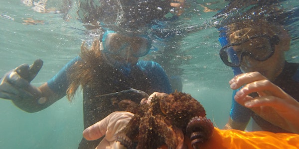 Pietra Ligure: Eco-pinneggiata per il Mare in 3d