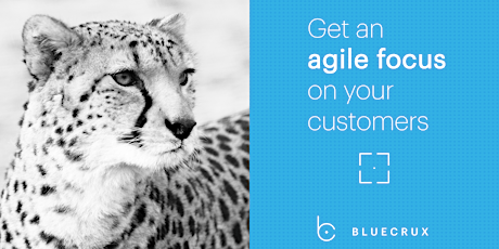 Primaire afbeelding van Get an agile focus on your customers! #bluecruxtalks