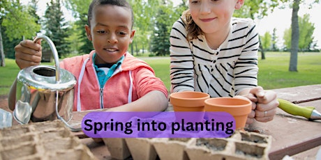 Sew Seeds with your children, grow on at home and create a veggie plot.
