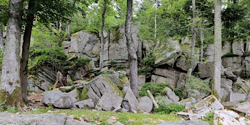 Wandern für Alle: Straubenhardt - Naturdenkmal „Volzemer Stein“