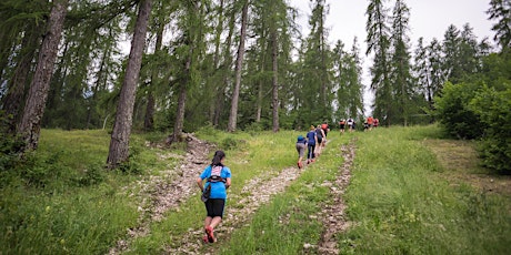 Immagine principale di The North Face® Run with our Athletes 