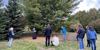 Primaire afbeelding van Medicinal Plant Walk: Local Trees - Experiential (includes tea & handout)