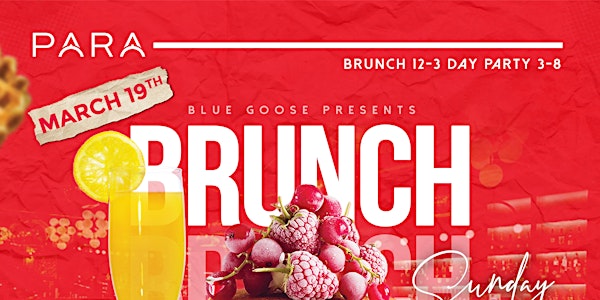Brunch & DAY party at Para Charlotte