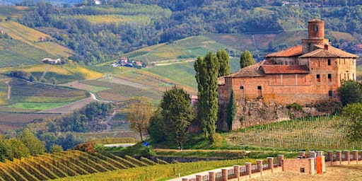 The Wines of Piedmont, Italy