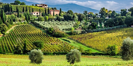 The Wines of Tuscany, Italy