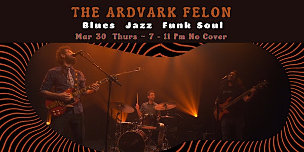 The Ardvark Felon ~ Blues / Funk /Soul /Jazz
