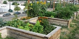 Primaire afbeelding van Cruse Overlook Community Garden 2024