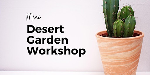 Mini Desert Garden Workshop