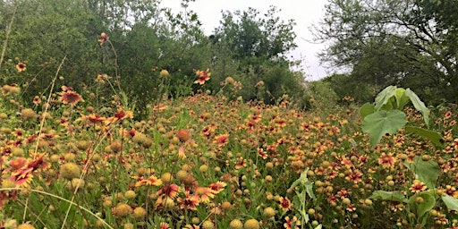 Mother's Day Plant Walk