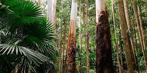 Home Among the Gum Trees - A Guided Walk primary image