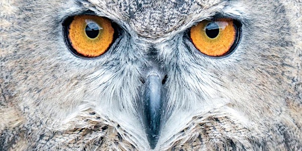 Audubon Raptor Weekend 2018
