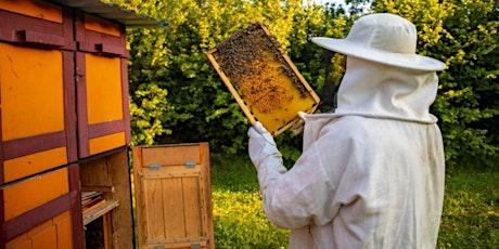 Conférence “L’apiculture, aujourd’hui”