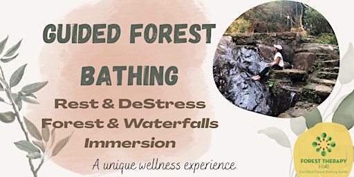 Rest and DeStress | Guided Forest Bathing Nature Immersion, Lung Fu Shan primary image