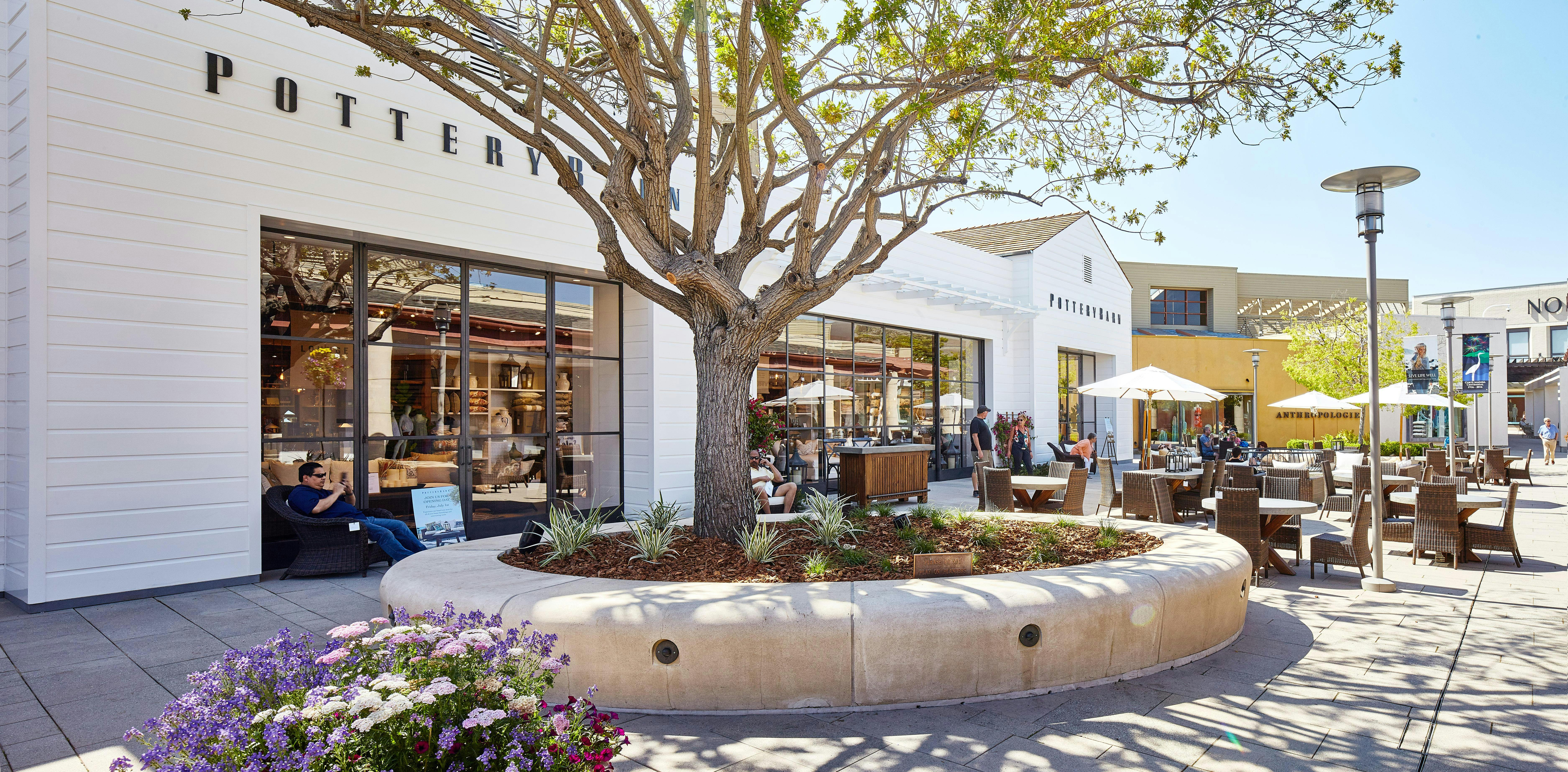 Pottery Barn Town Center Grand Opening Party Virginia Beach