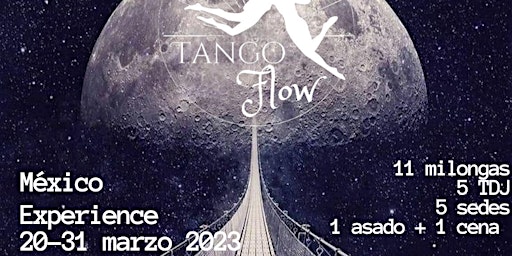 Tango Flow Mexico Experience
