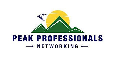 Primaire afbeelding van DTC Networking Group: Peak Professionals Networking