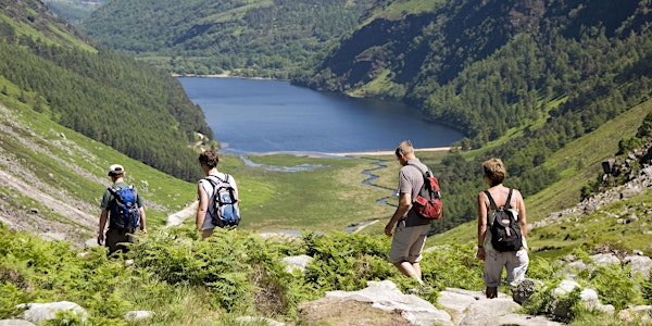 The Camino Walks: The Spinc in Glendalough, Co. Wicklow (Ireland)