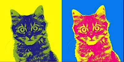 Warhol Inspired Cat Drawing