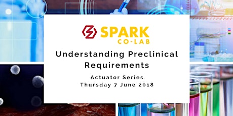 Understanding Preclinical Requirements primary image