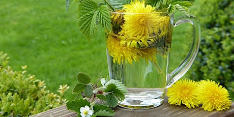 Cooking with Foraged Herbs primary image