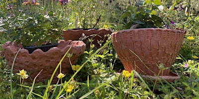 Imagem principal de Make a Terracotta Plant Pot