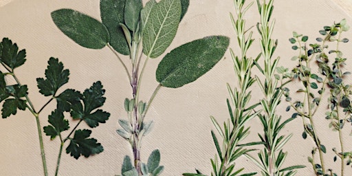 Botanical nature printing in clay - Vase Making  primärbild