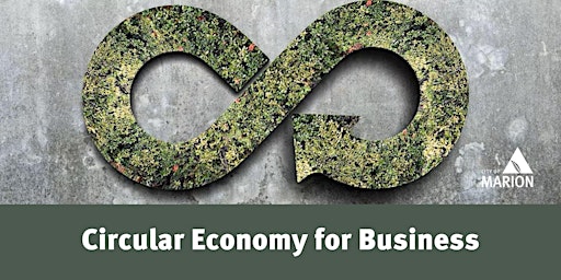 Transitioning Businesses to Circular Sustainable Practices