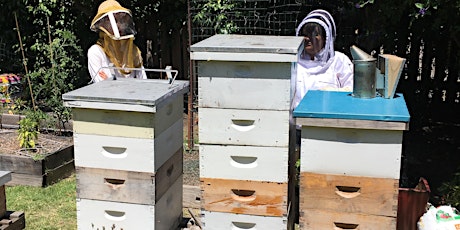 Introduction to Backyard Beekeeping primary image