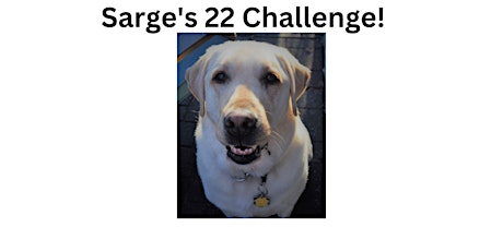 Sarge's 22 Challenge