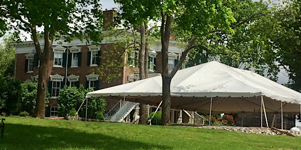 Enchanting Summer Evening at Rockwood