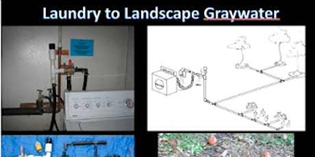 DIY Greywater (Gray Water) Collection Workshop