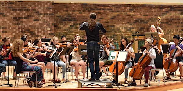 Madison Area Youth Chamber Orchestra: "Craft"