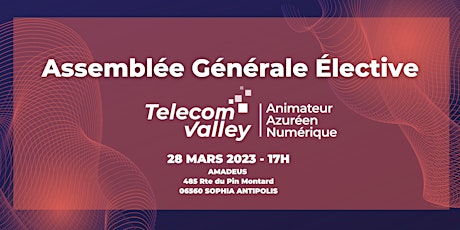 Assemblée Générale  Telecom Valley 28 Mars 2023 - 17h