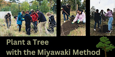 Hauptbild für The Miyawaki Method: A Better Way to Plant Forests? Plant a tree with us.