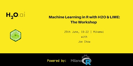 Immagine principale di Machine Learning in R with H2O & Lime: The Workshop 