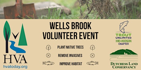 Wells Brook Restoration Volunteer Event