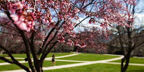 Spring Plant Sale