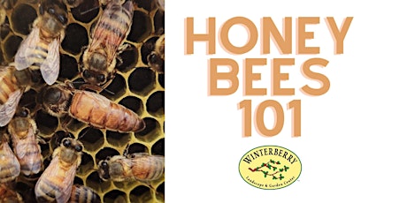Honey Bees 101 primary image